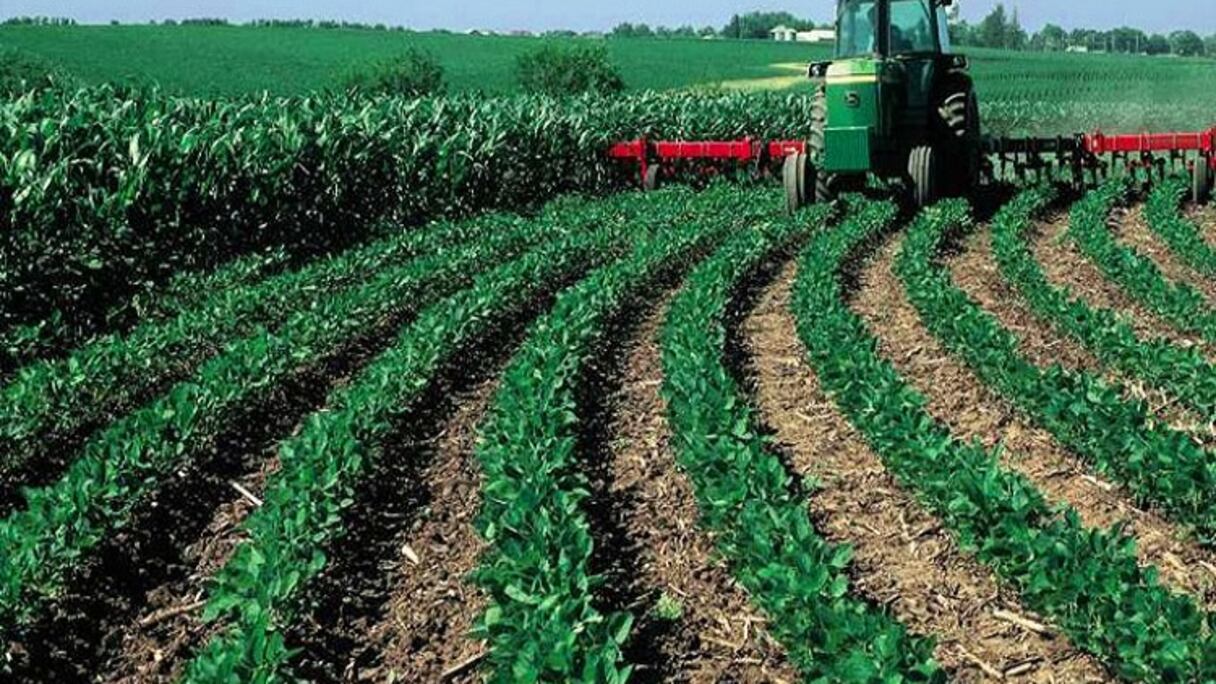 فلاحة وأمطار