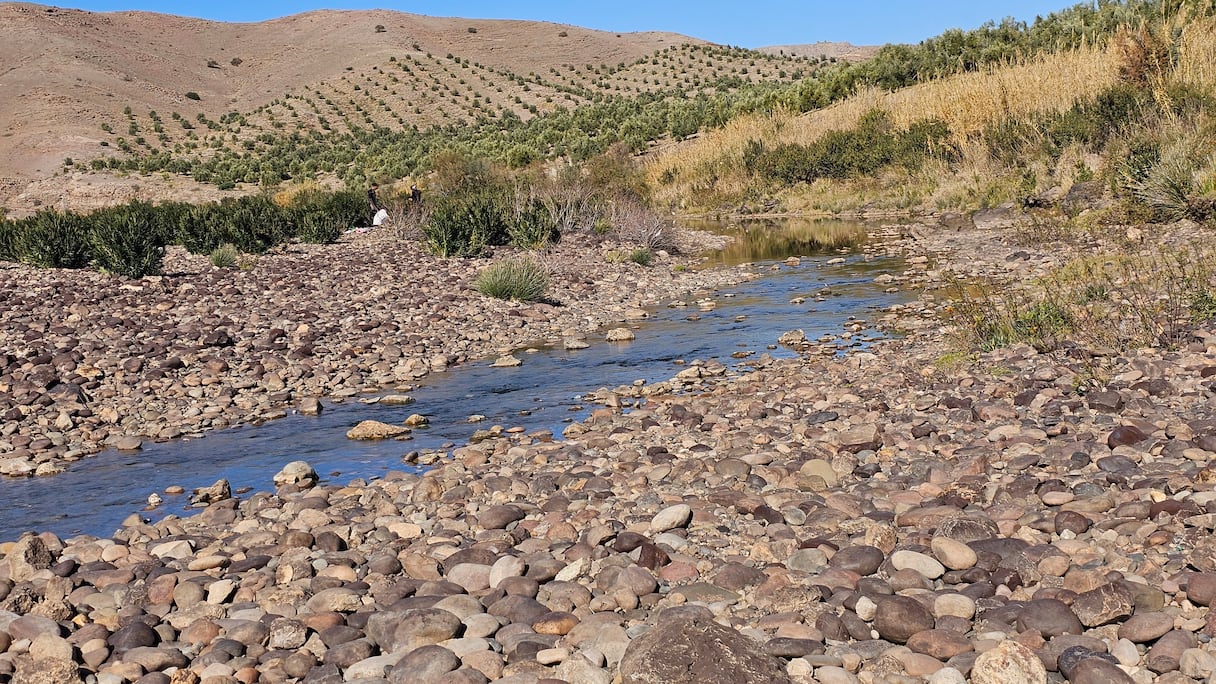 جفاف سد المسيرة