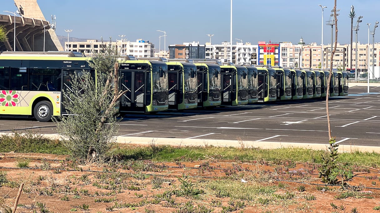 حافلات جديدة بمدينة فاس