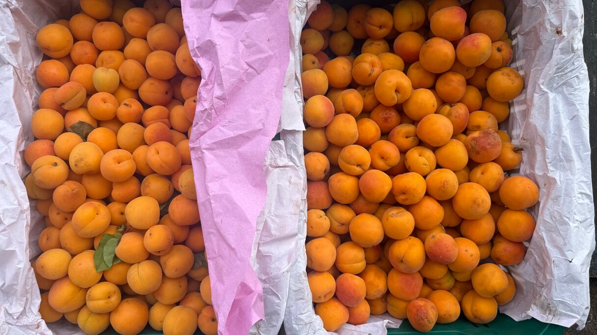 الفواكه الموسمية