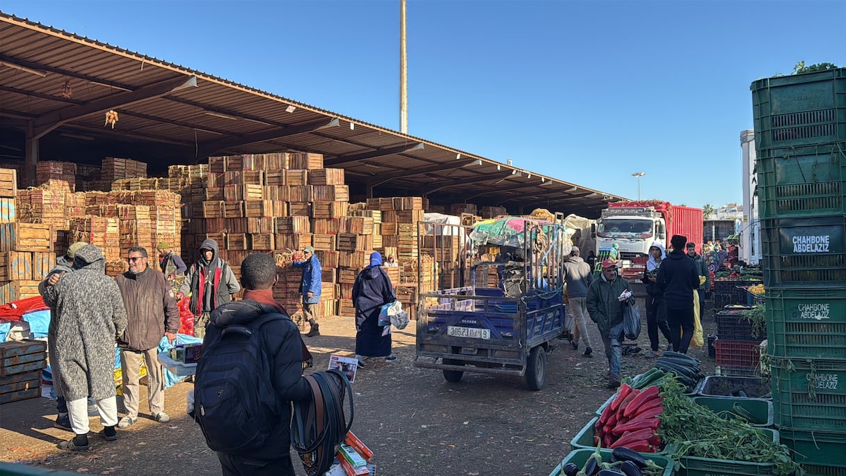 الخضر بسوق الجملة