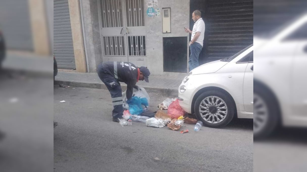 جمع الأزبال في المعاريف