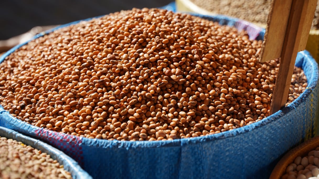 أسعار القطاني والتوابل