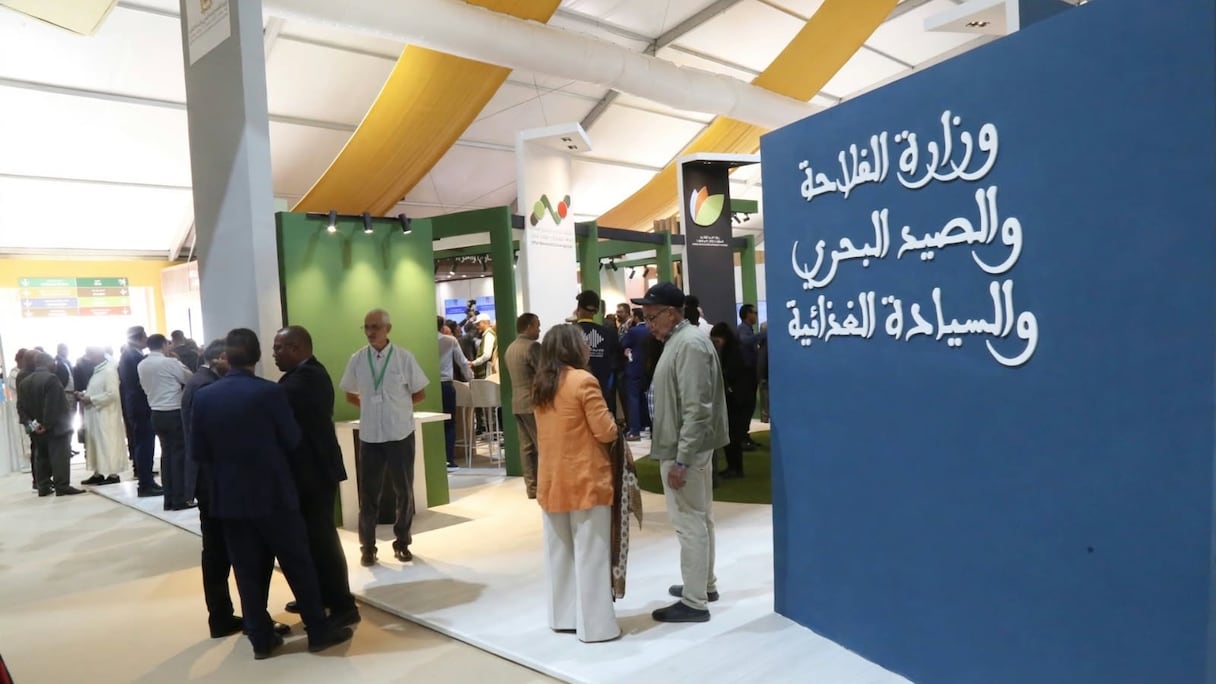 ملتقى التمور في أرفود