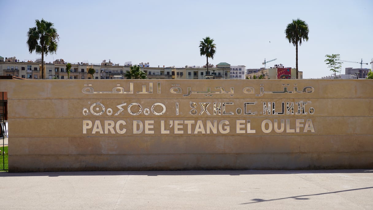 تحول ضاية الولفة إلى منتزه ترفيهي