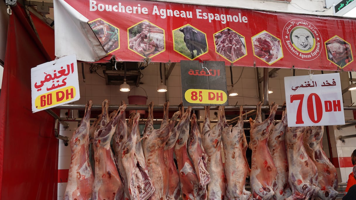 أسعار اللحوم بالبيضاء