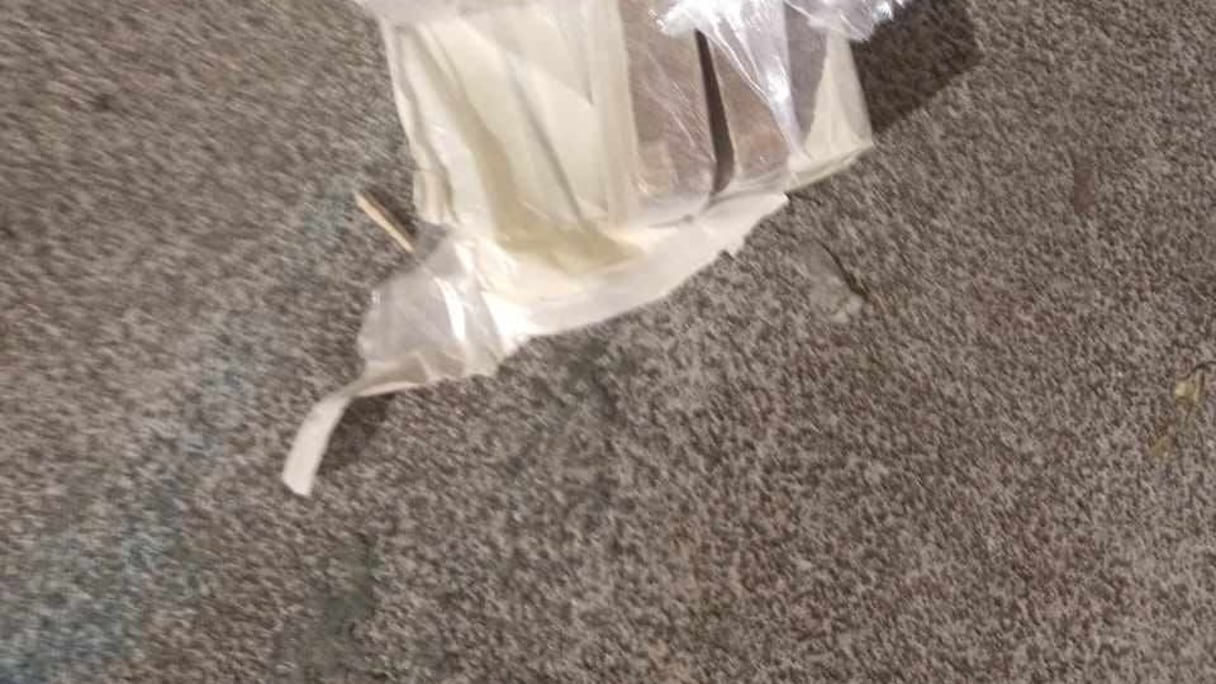 حجز المخدرات وسط الأسماك المجمدة