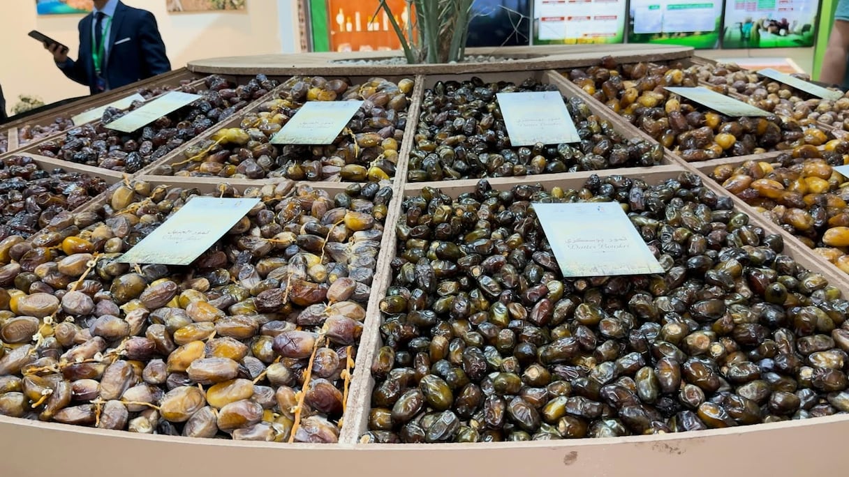 تمور