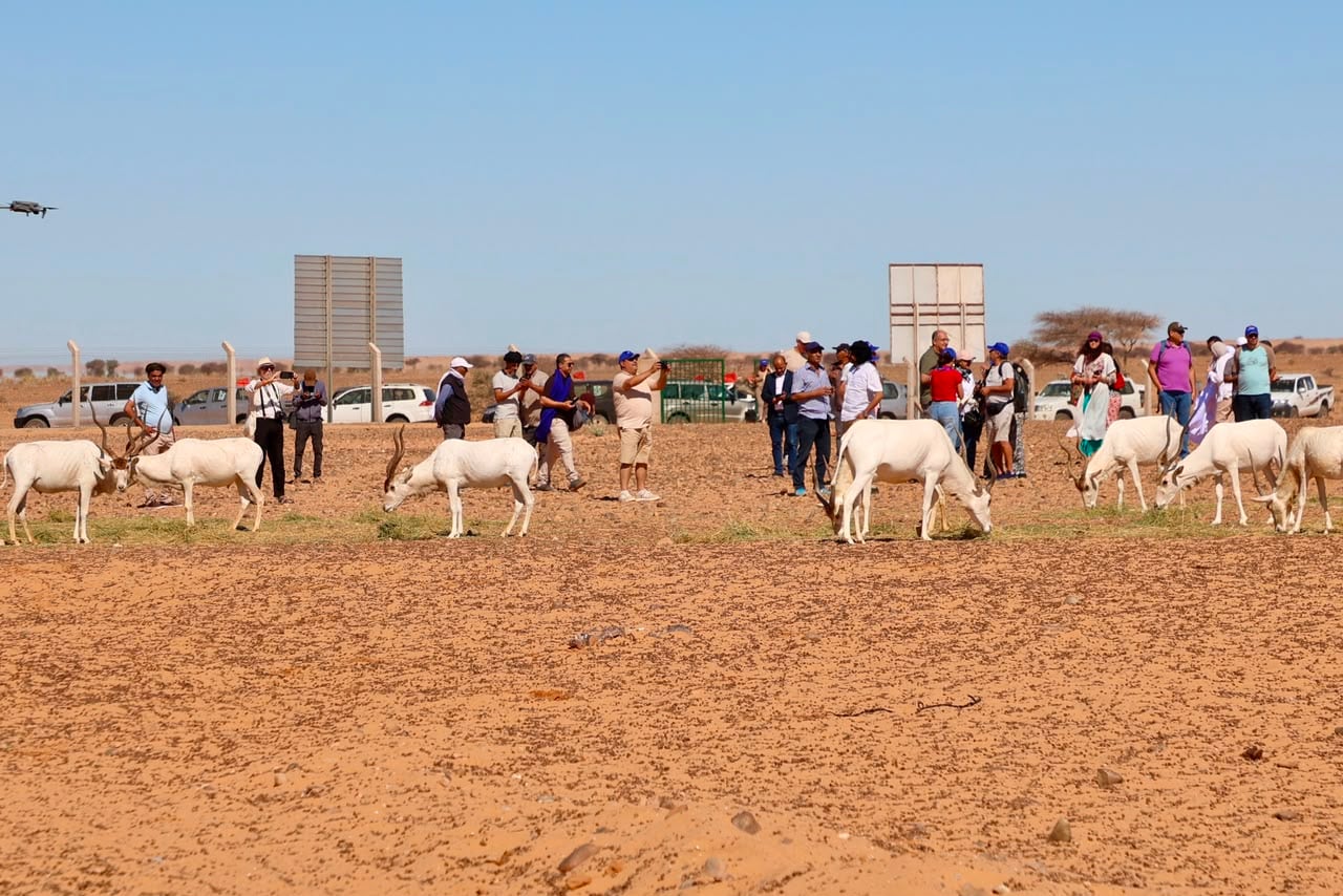 السمارة تفتح أبواب الاستثمار أمام رجال الأعمال المغاربة والأجانب
