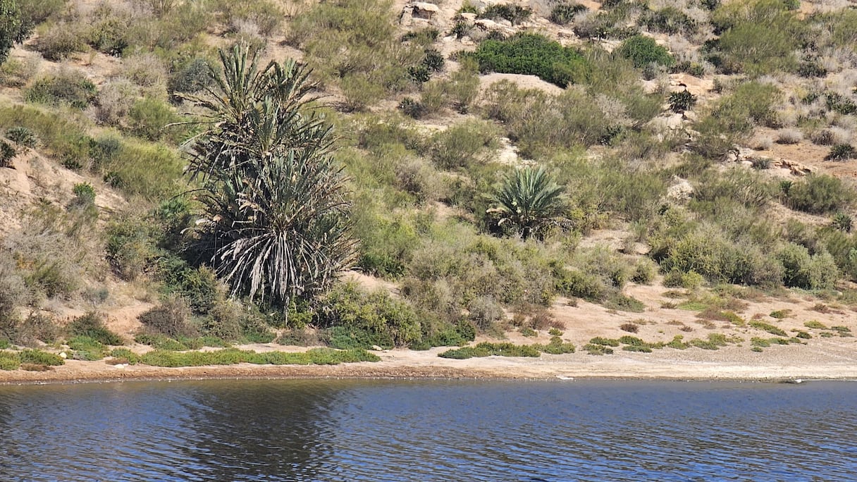 تراجع صبيب واد أم الربيع بسبب الجفاف