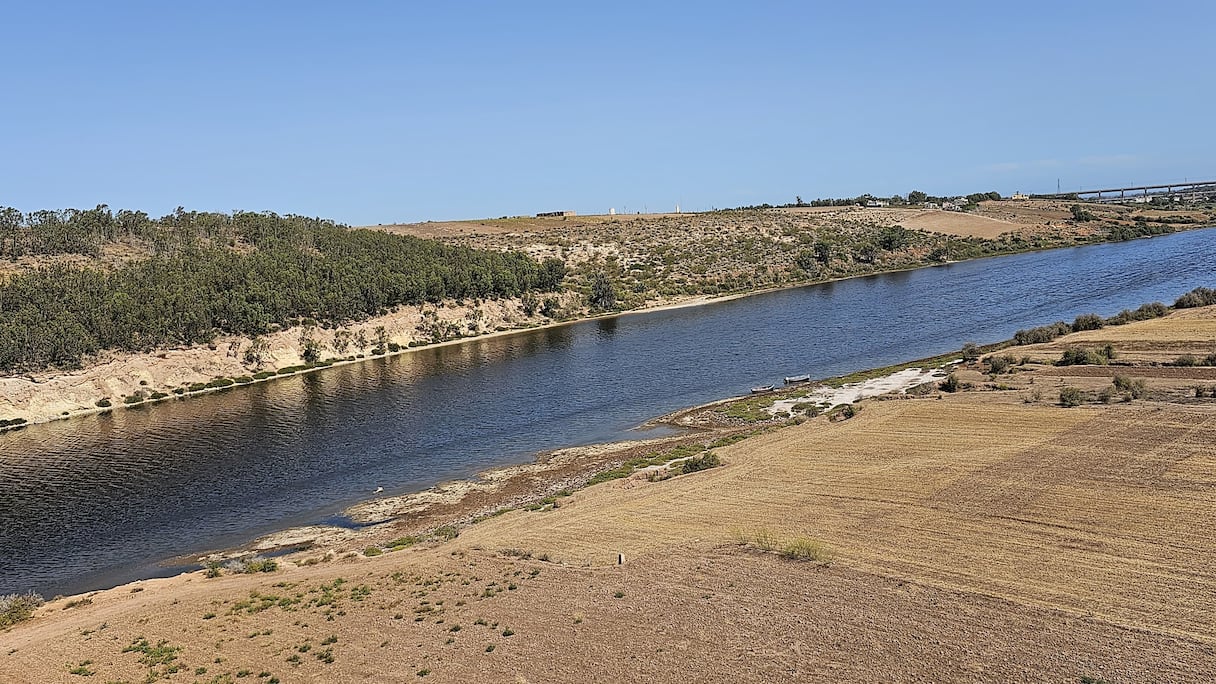 تراجع صبيب واد أم الربيع بسبب الجفاف