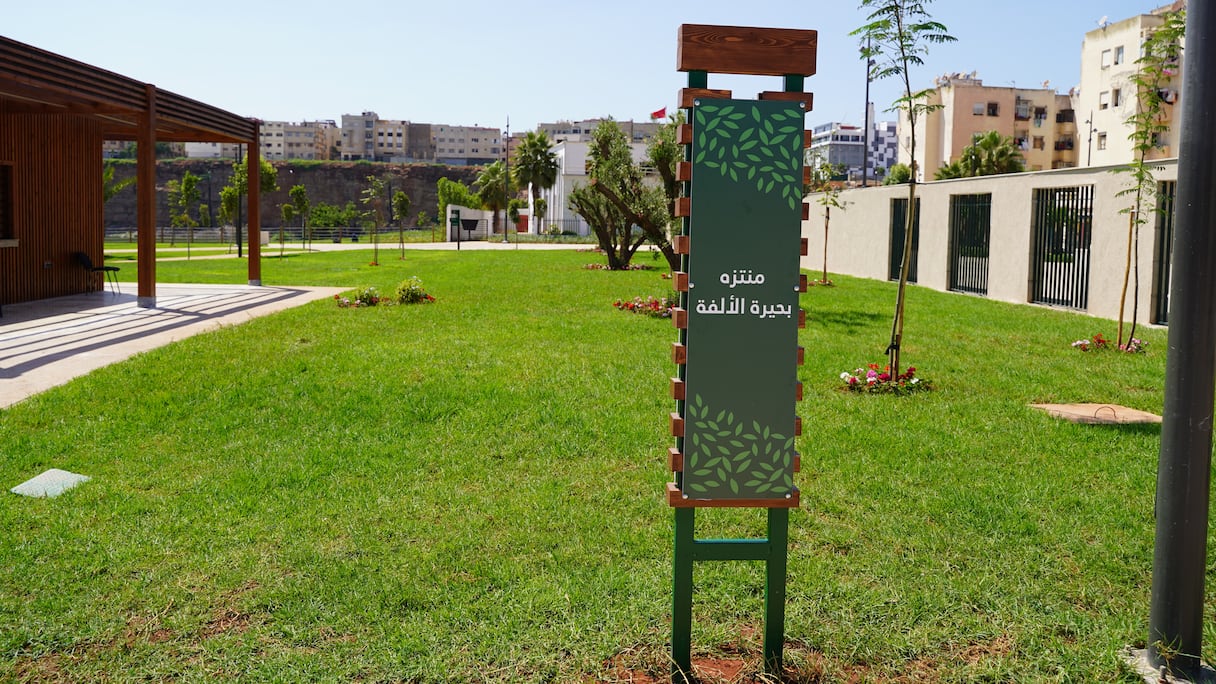 تحول ضاية الولفة إلى منتزه ترفيهي