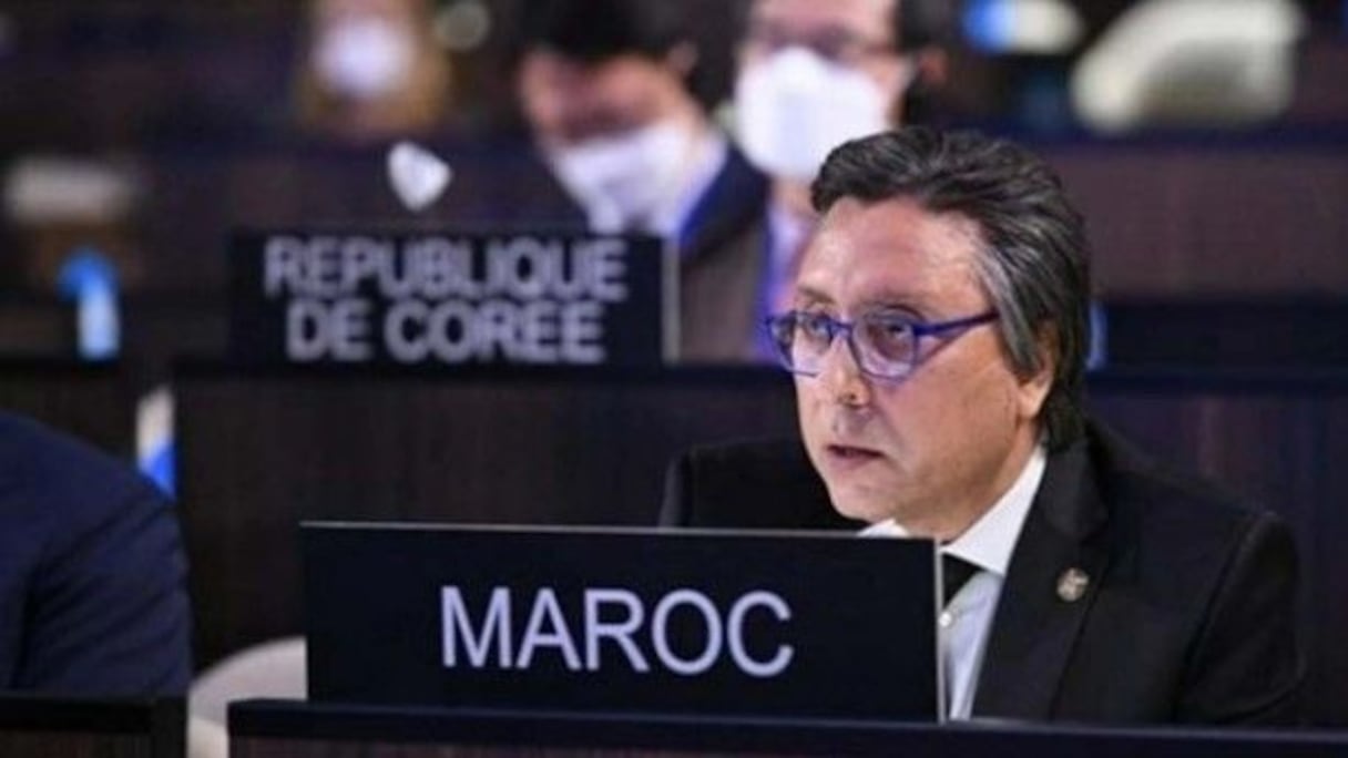 سمير الدهر، السفير والممثل الدائم للمملكة المغربية لدى اليونسكو