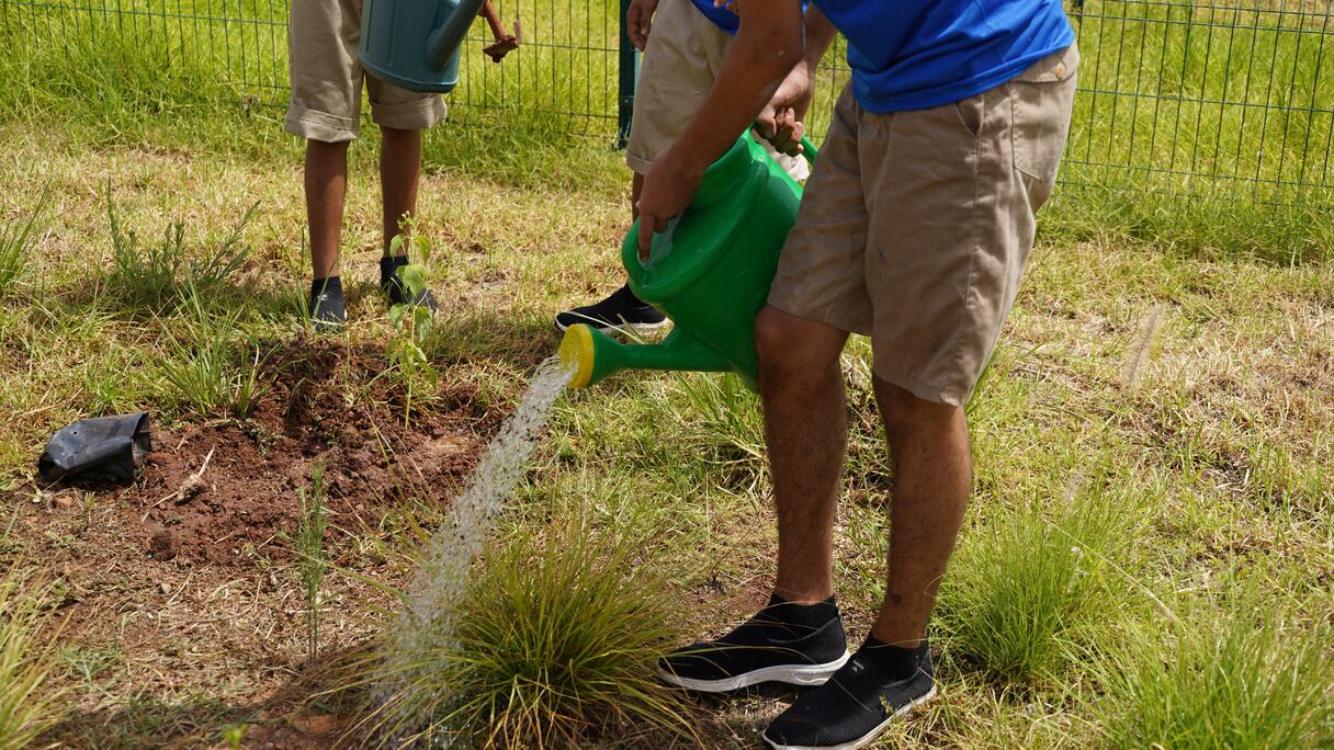 الملتقى الصيفي للأحداث