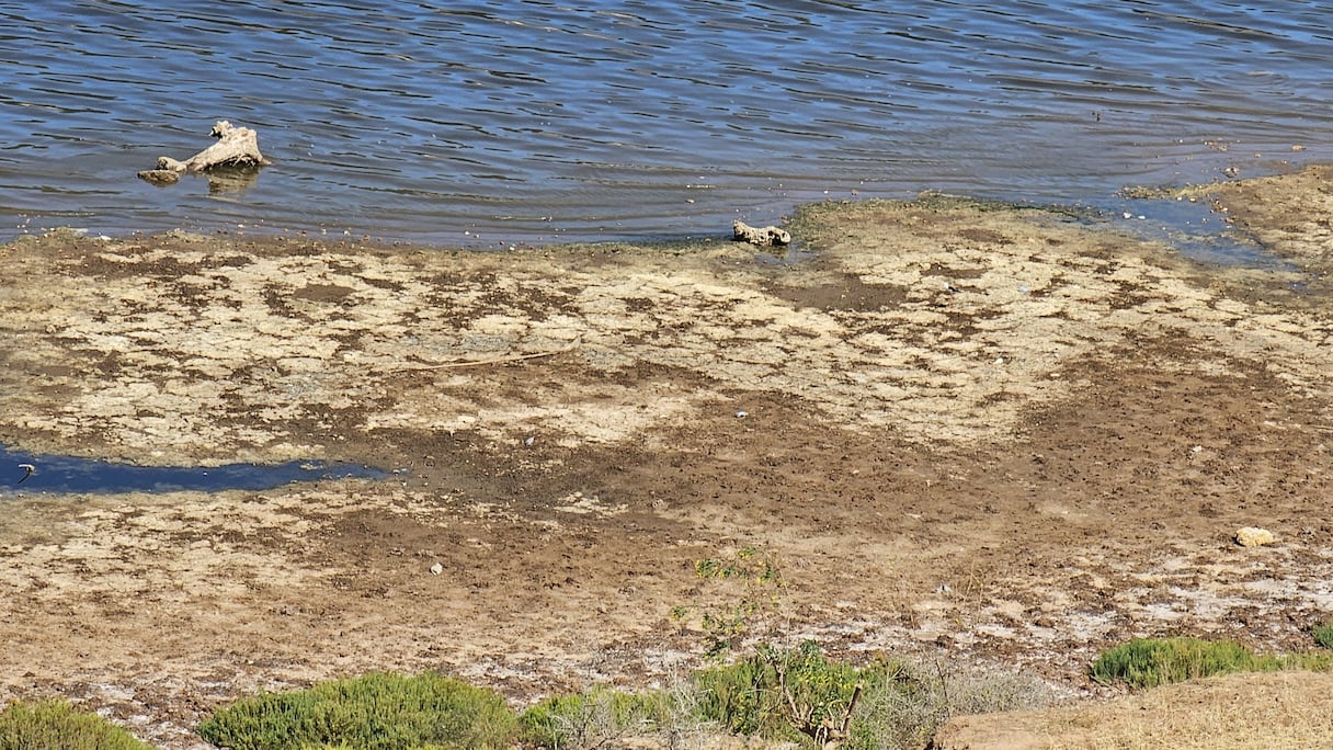 تراجع صبيب واد أم الربيع بسبب الجفاف