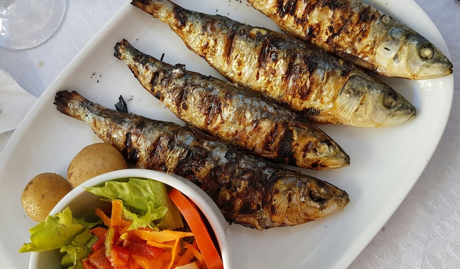 sardines