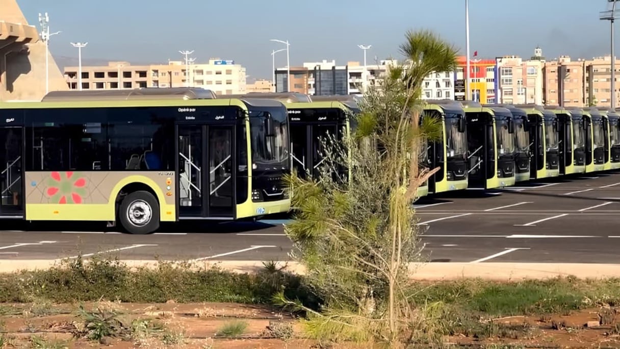 حافلات جديدة بمدينة فاس