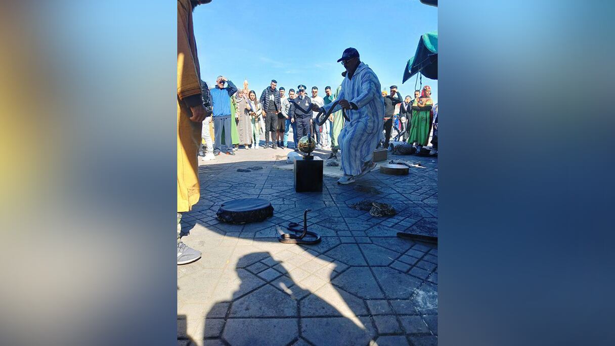 : الكرة الذهبية تتجول بالمآثر التاريخية لمراكش قبيل حفل توزيع جوائز الكاف