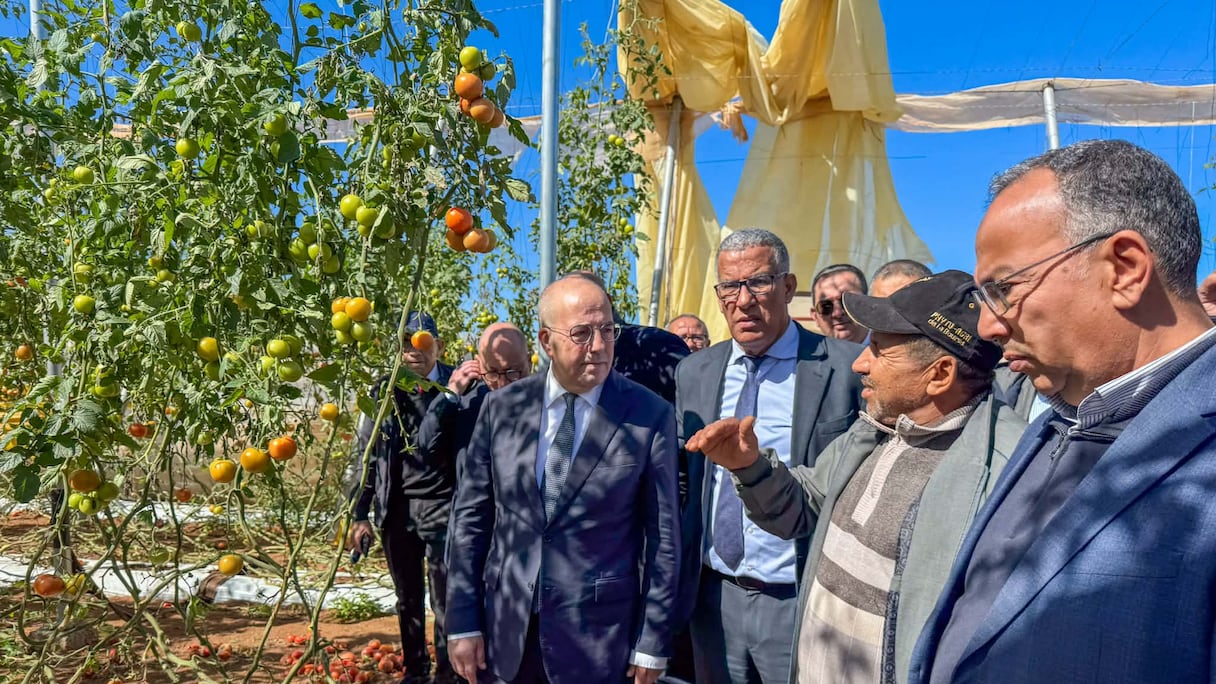 البواري يتفقد الضيعات المتضررة بشتوكة أيت باها