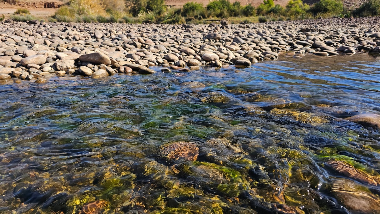 ما تبقى من مياه سد المسيرة