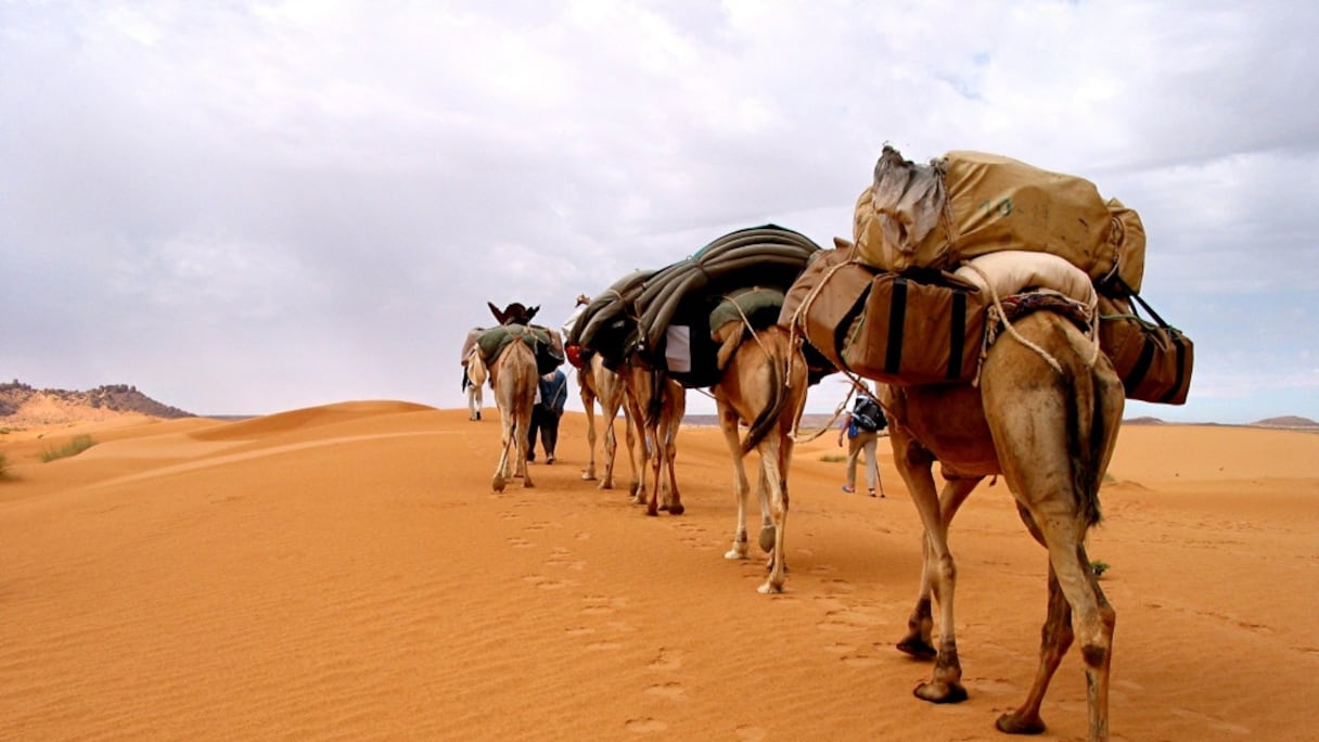 صورة تعبيرية