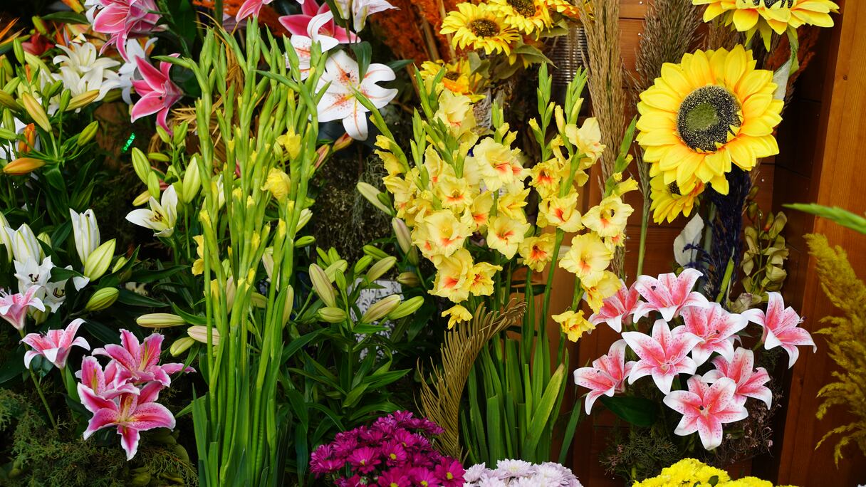 شراء الورود