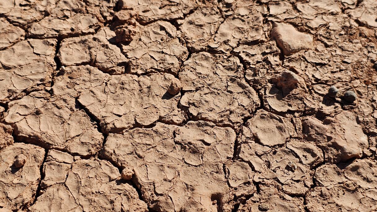 جفاف سد المسيرة