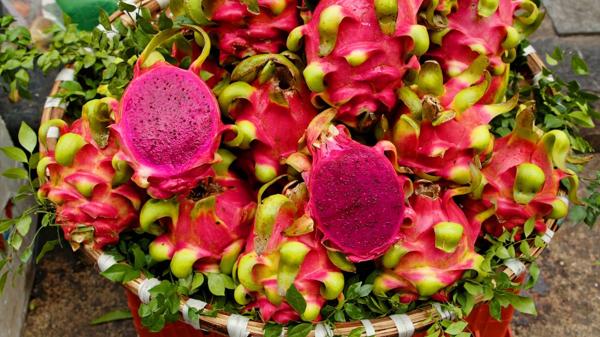 فاكهة الدراغون