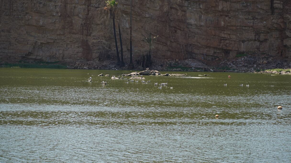 تحول ضاية الولفة إلى منتزه ترفيهي