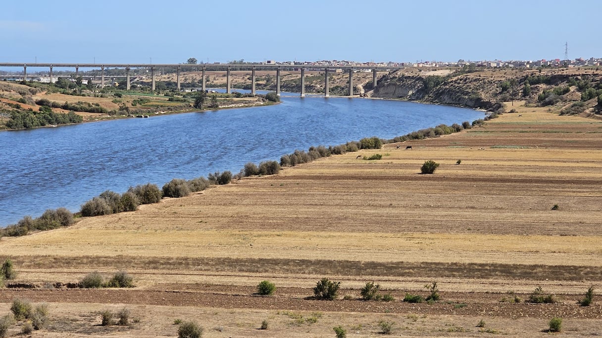 تراجع صبيب واد أم الربيع بسبب الجفاف