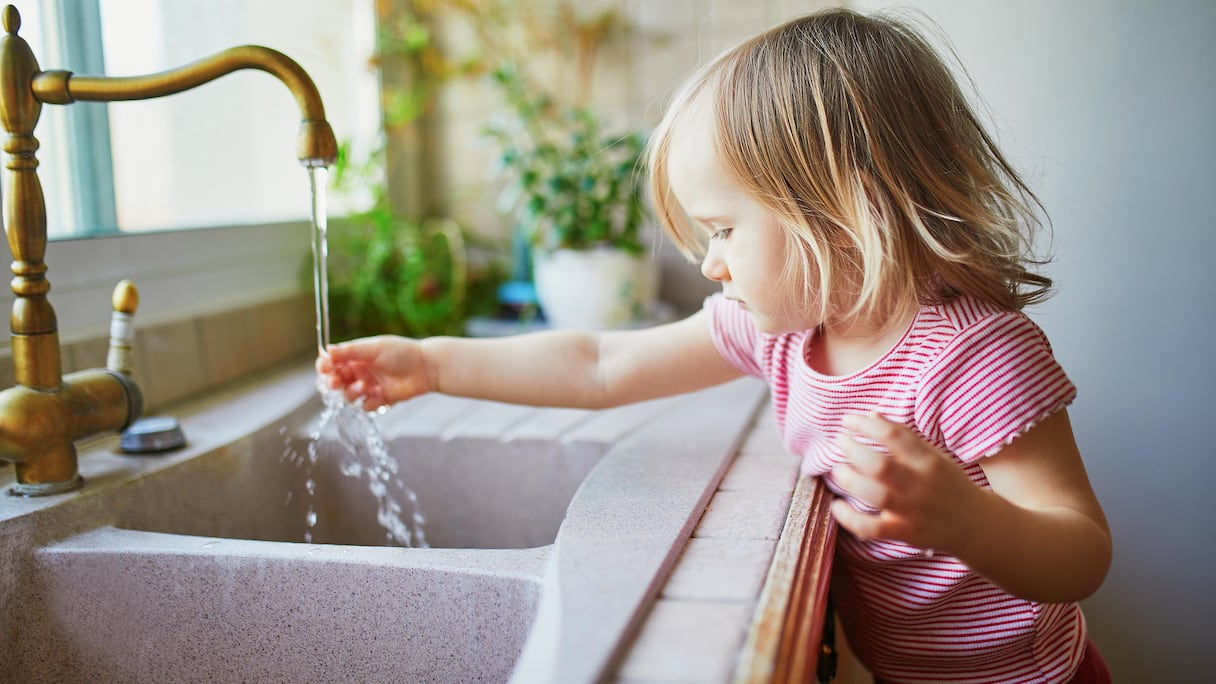 مياه الصنوبر "صورة تعبيرية"