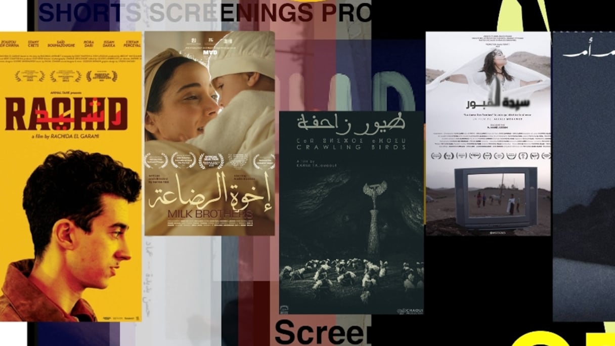 مهرجان مراكش للفيلم القصير