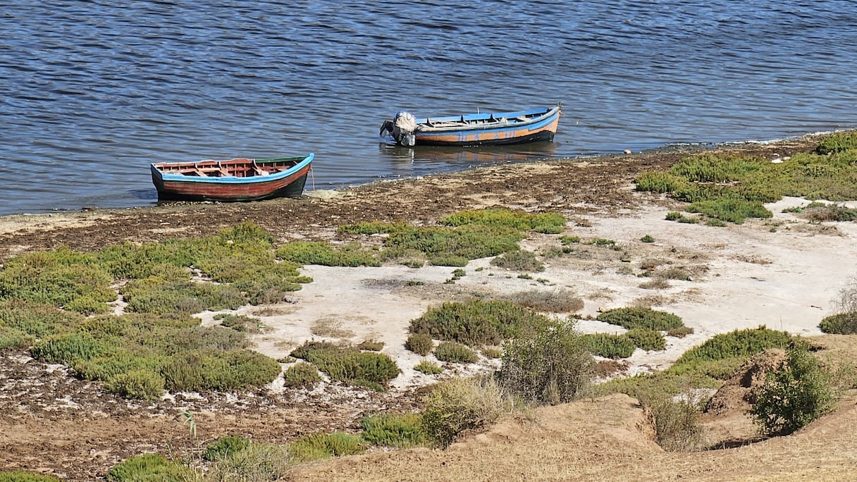 تراجع صبيب واد أم الربيع بسبب الجفاف