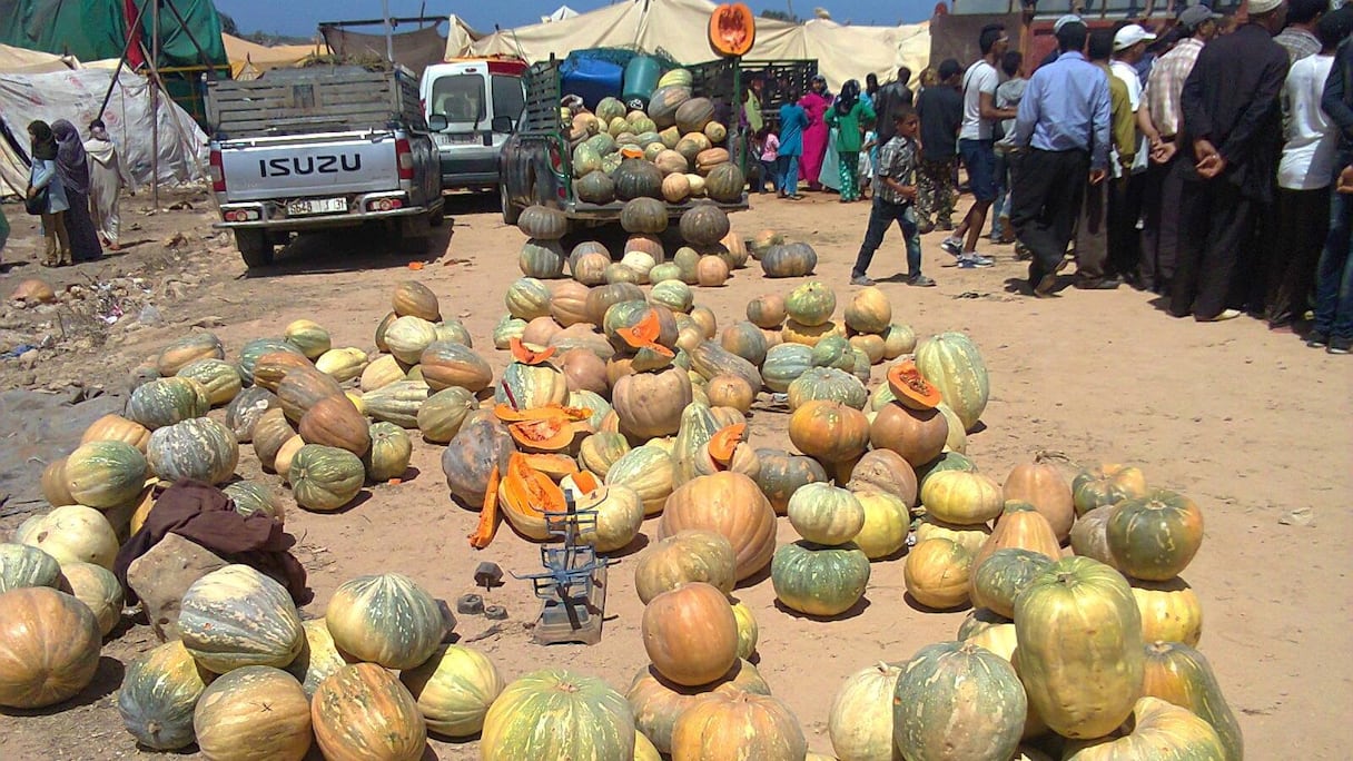 القرع الأحمر بدكالة