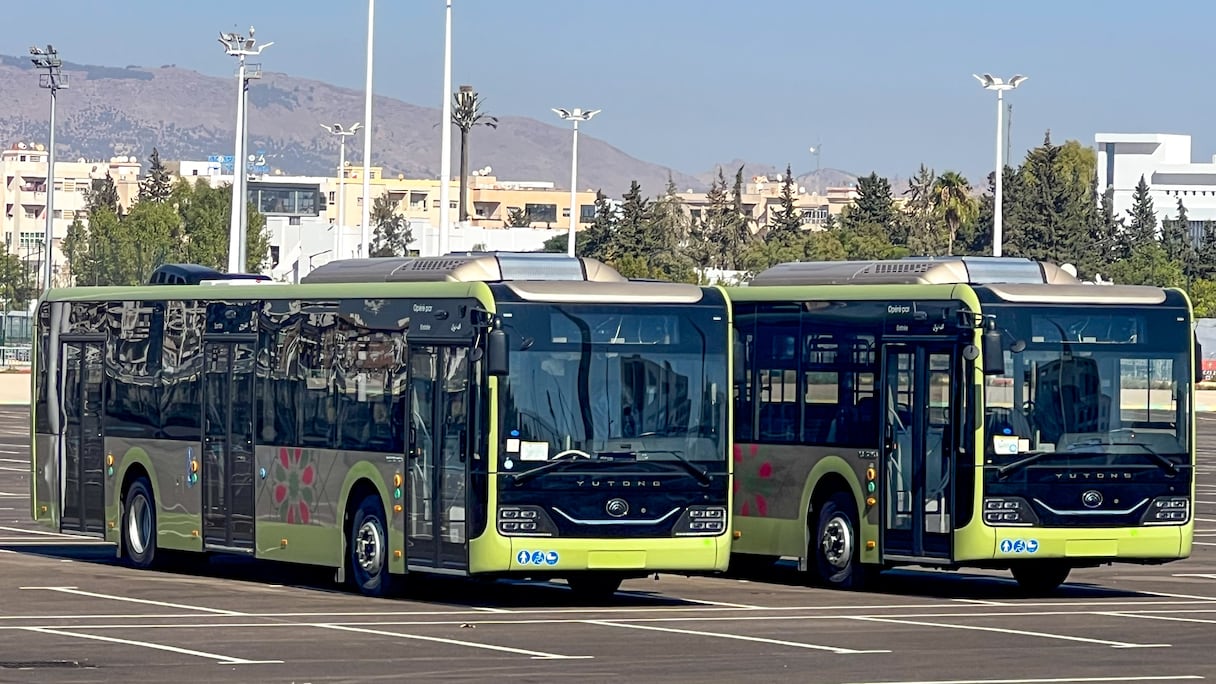 حافلات جديدة بمدينة فاس