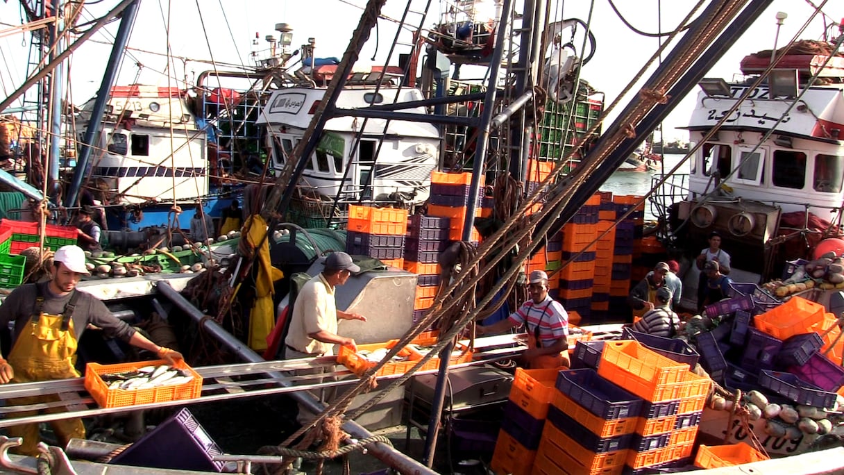 قطاع الصيد البحري في الداخلة.. قاطرة التنمية الاقتصادية والاجتماعية