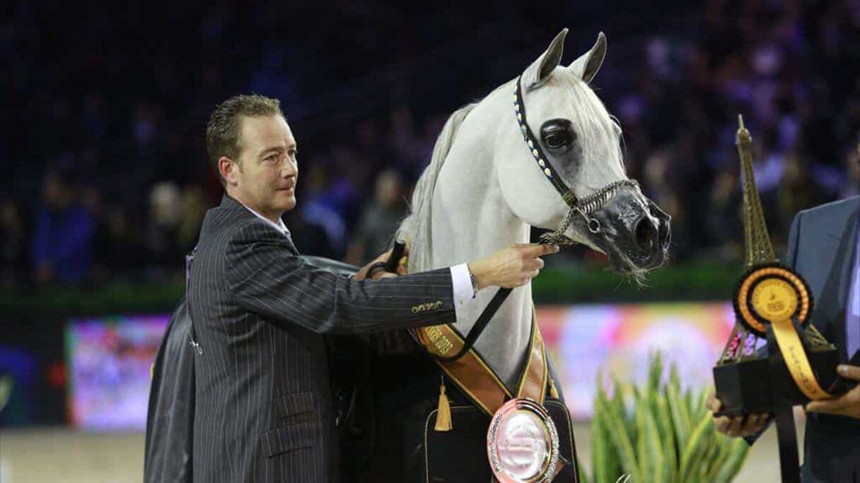 مسابقة وطنية لمربي الخيول العربية