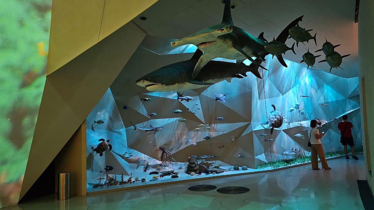 متحف قطر الوطني