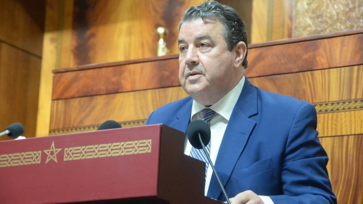 إدريس السنتيسي، رئيس الفريق الحركي بمجلس النواب