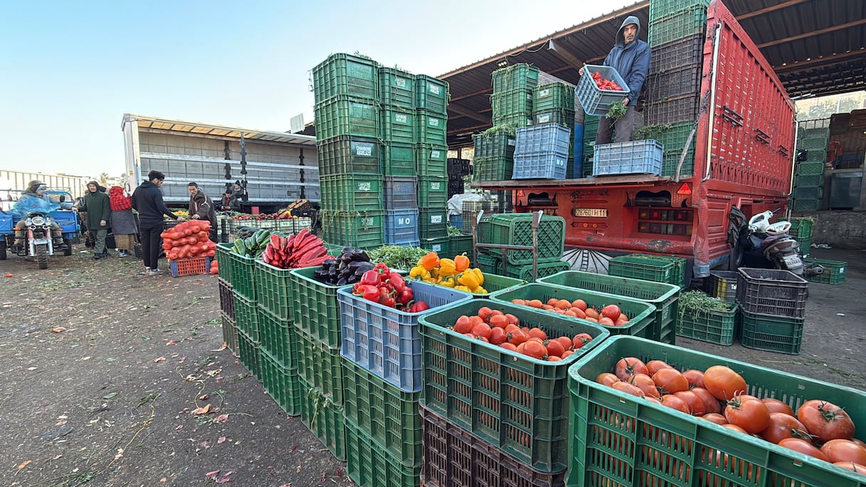 مهني يكشف أسباب ارتفاع أسعار الخضر بالبيضاء رغم التساقطات المطرية