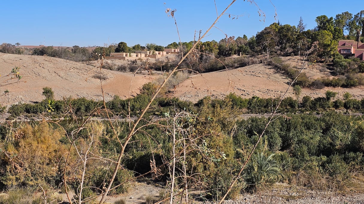 جفاف سد المسيرة