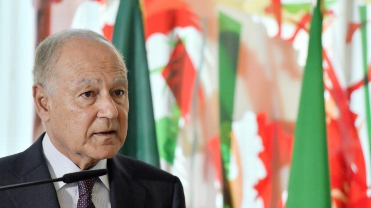 الأمين العام لجامعة الدول العربية أحمد أبو الغيط