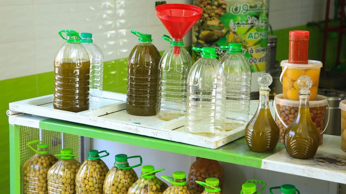 زيت الزيتون بمنطقة قلعة السراغنة