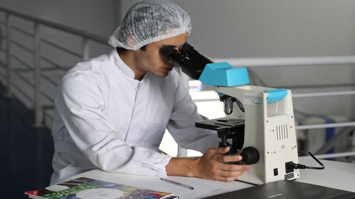 التشريح الطبي "صورة تعبيرية"