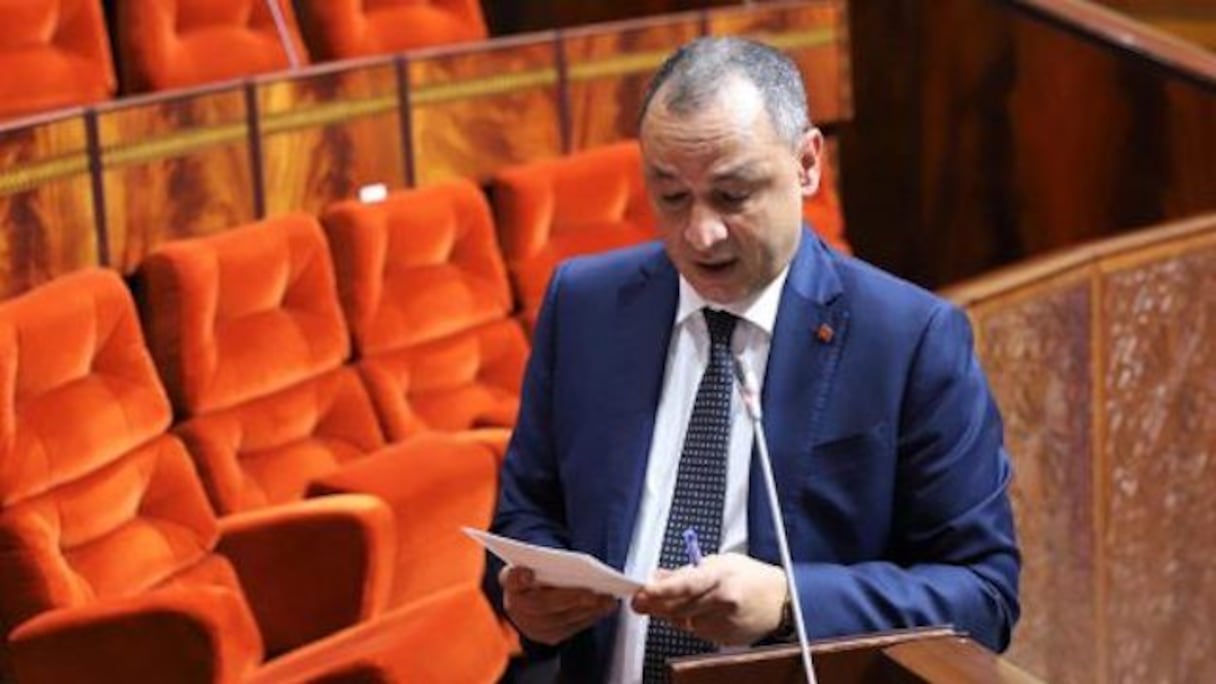 رياض مزور وزير الصناعة والتجارة خلال جلسة بمجلس النواب