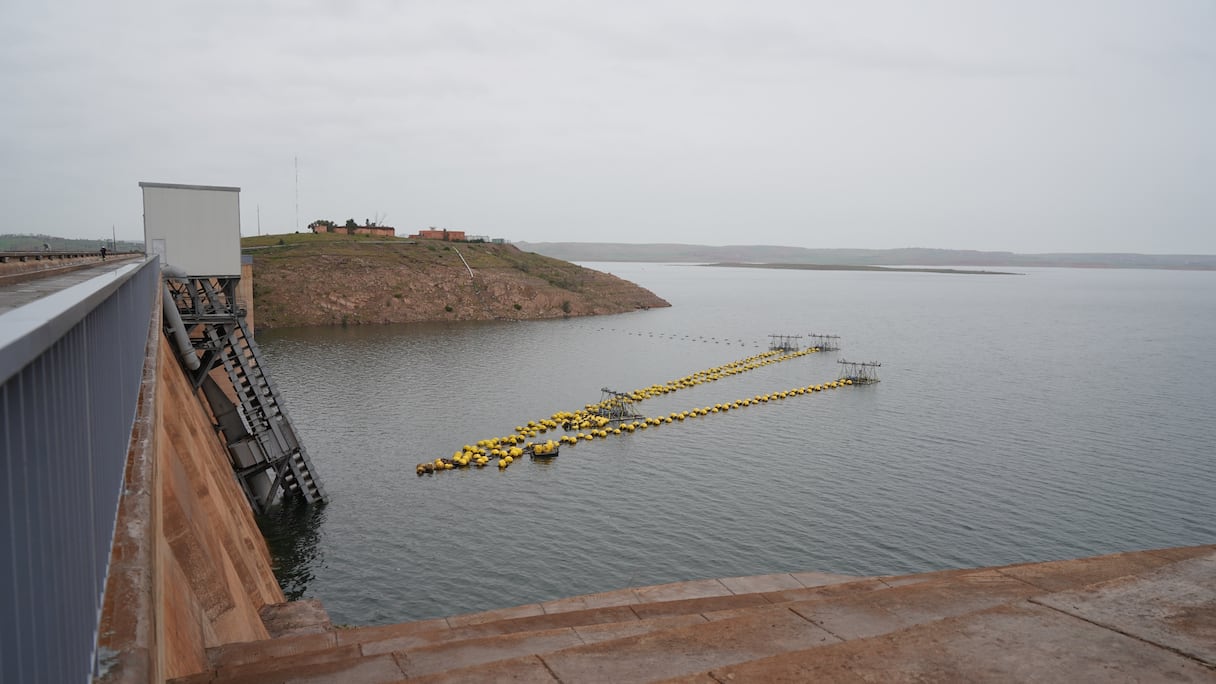 ارتفاع نسبة ملء سد المسيرة يوم الأربعاء 4 مارس2026 إلى 31.73 في المائة مقارنة بـ2.3 في المائة فقط خلال الفترة نفسها من السنة الماضية.