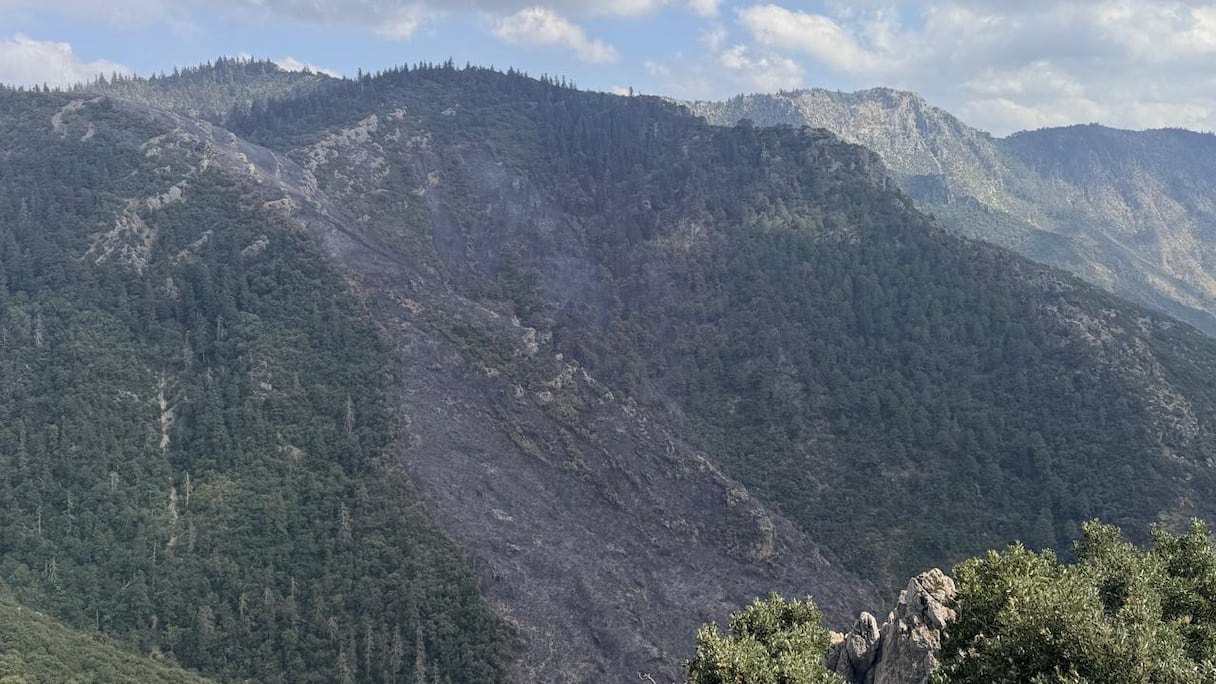 L’incendie qui s’est déclaré dans la forêt de Tazaout, à Chefchaouen. (S.Kadry/Le360)