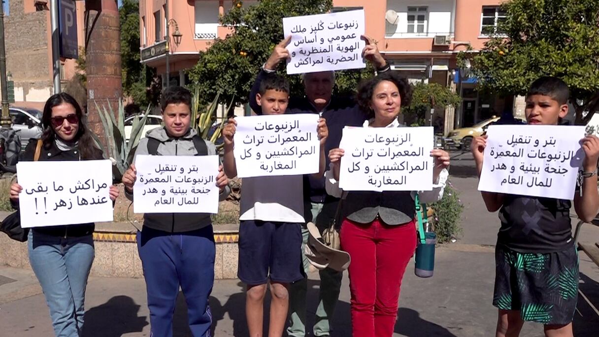 احتجاجات ضد اقتلاع أشجار "الزنبوع" من شوارع مراكش