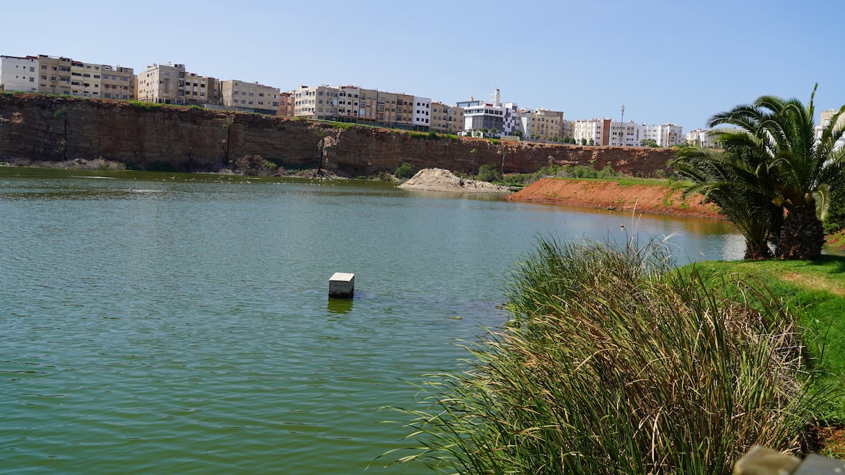 تحول ضاية الولفة إلى منتزه ترفيهي