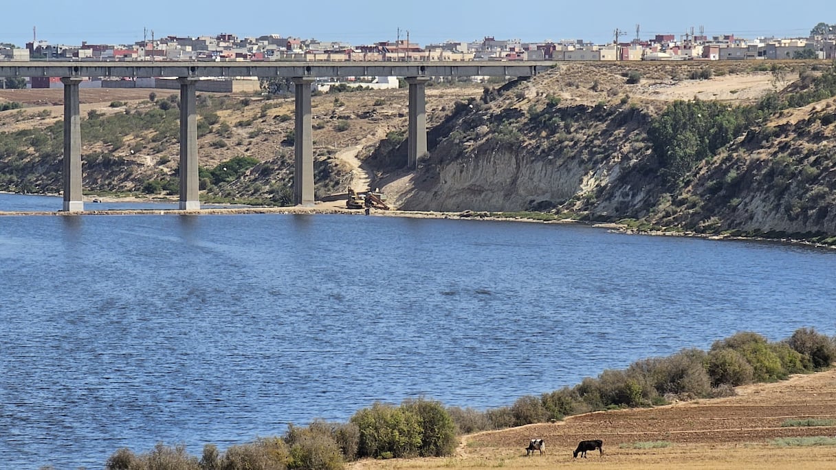 تراجع صبيب واد أم الربيع بسبب الجفاف